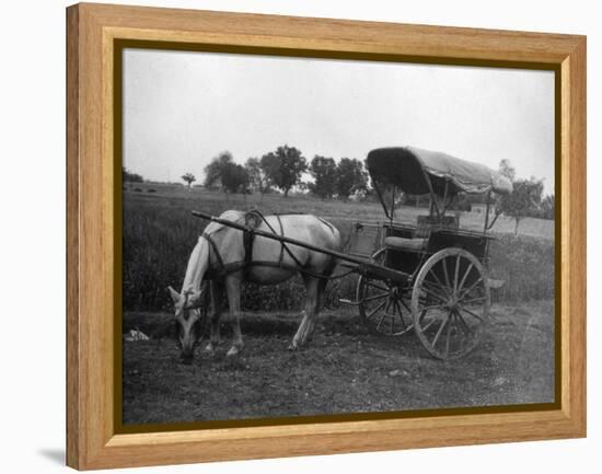 Tonga (Horse Car), Muttra, India, 1917-null-Framed Premier Image Canvas