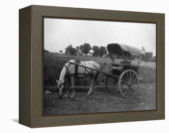 Tonga (Horse Car), Muttra, India, 1917-null-Framed Premier Image Canvas