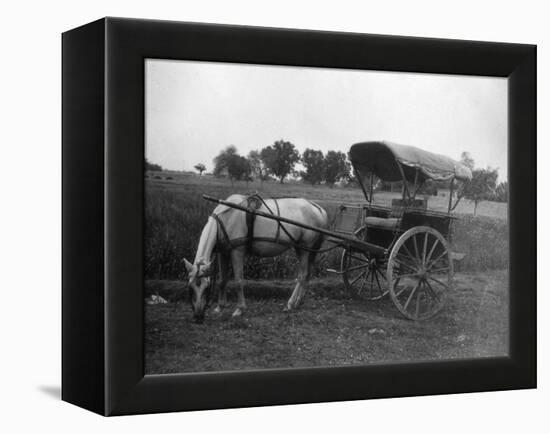 Tonga (Horse Car), Muttra, India, 1917-null-Framed Premier Image Canvas