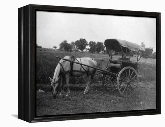 Tonga (Horse Car), Muttra, India, 1917-null-Framed Premier Image Canvas