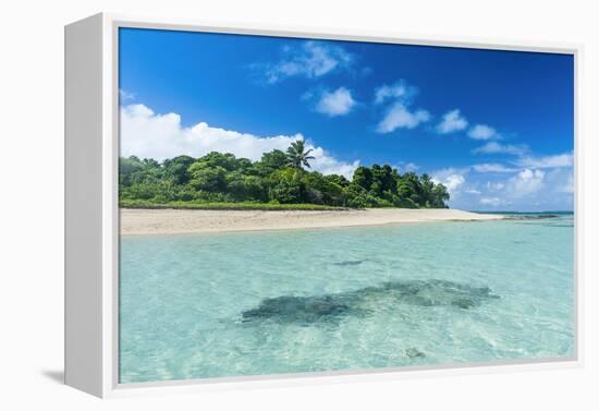 Tonga, South Pacific-Michael Runkel-Framed Premier Image Canvas