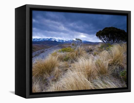 Tongariro National Park, UNESCO World Heritage Site, North Island, New Zealand, Pacific-Ben Pipe-Framed Premier Image Canvas