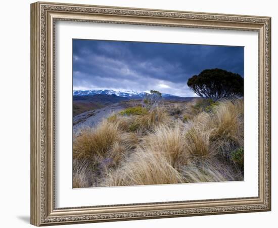 Tongariro National Park, UNESCO World Heritage Site, North Island, New Zealand, Pacific-Ben Pipe-Framed Photographic Print