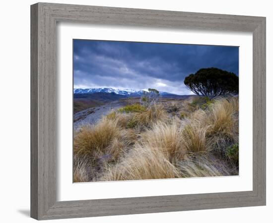 Tongariro National Park, UNESCO World Heritage Site, North Island, New Zealand, Pacific-Ben Pipe-Framed Photographic Print