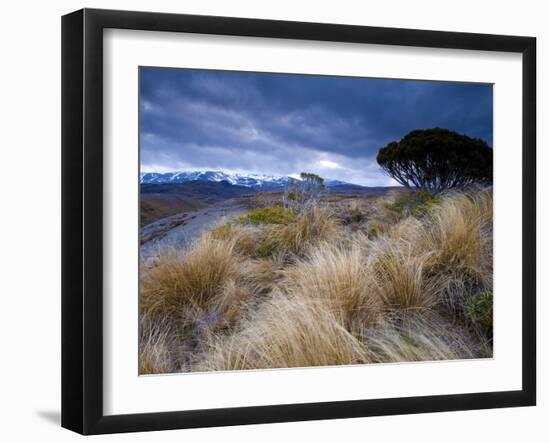 Tongariro National Park, UNESCO World Heritage Site, North Island, New Zealand, Pacific-Ben Pipe-Framed Photographic Print