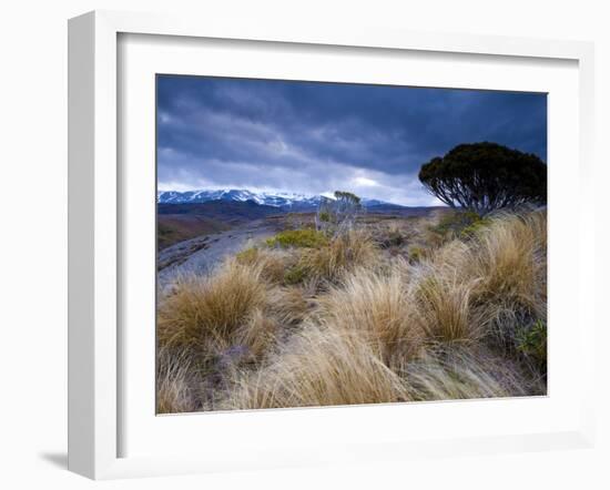 Tongariro National Park, UNESCO World Heritage Site, North Island, New Zealand, Pacific-Ben Pipe-Framed Photographic Print