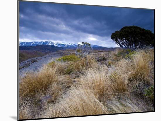 Tongariro National Park, UNESCO World Heritage Site, North Island, New Zealand, Pacific-Ben Pipe-Mounted Photographic Print