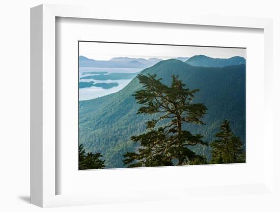 Tongass National Forest, Sitka, Alaska, USA-Mark A Johnson-Framed Photographic Print