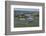 Tongue of Land at Deutsches Eck (German Corner), Koblenz, Rhineland-Palatinate, Germany, Europe-Hans-Peter Merten-Framed Photographic Print