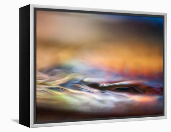 Tonight-Ursula Abresch-Framed Premier Image Canvas