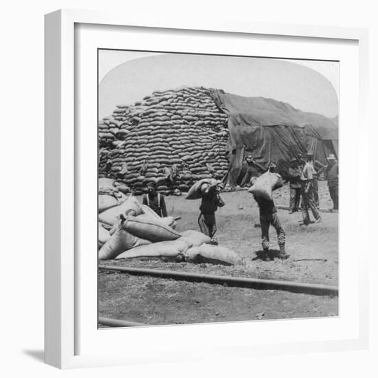 Tons Upon Tons of Oats for Tommy's Faithful Friend, De Aar, South Africa, Boer War, 1900-Underwood & Underwood-Framed Giclee Print