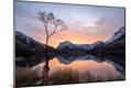 Photographic Print