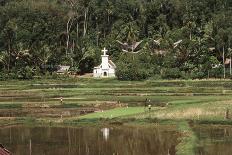 Asia, Indonesia, Sulawesi, View of Church and Field-Tony Berg-Photographic Print