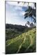 Premium Photographic Print