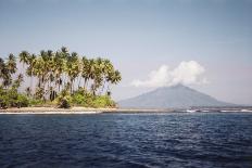Indonesia, Bali, View of Field-Tony Berg-Laminated Photographic Print