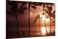 Photographic Print