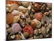 Premium Photographic Print