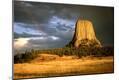 Photographic Print