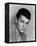 Tony Curtis-null-Framed Stretched Canvas