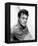 Tony Curtis-null-Framed Stretched Canvas