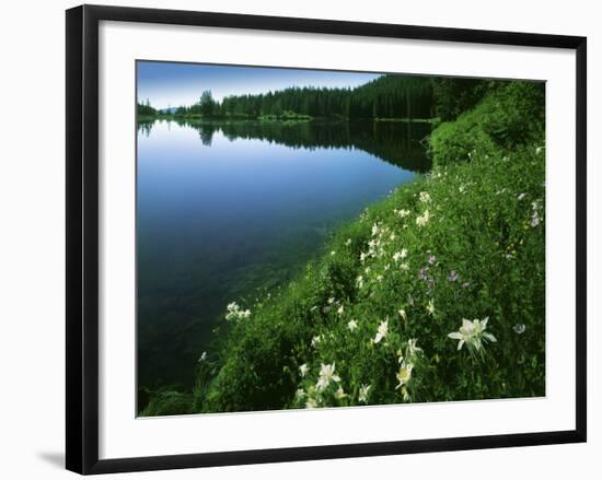 Tony Grove Lake, Uinta-Wasatch-Cache National Forest, Utah, USA-Charles Gurche-Framed Photographic Print