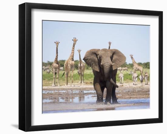 Photographic Print, , large