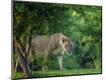 Photographic Print