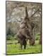 Photographic Print