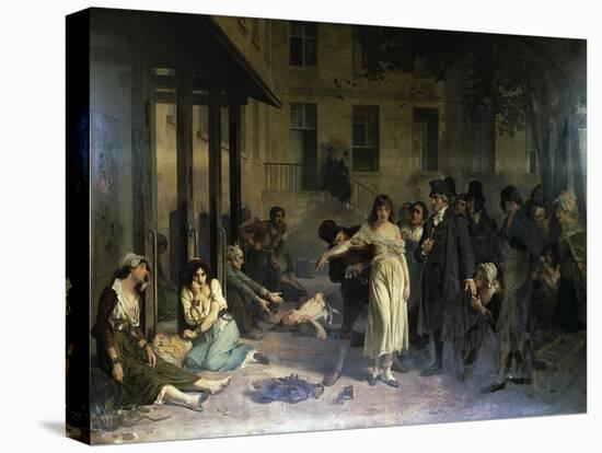 Stretched Canvas Print, , large