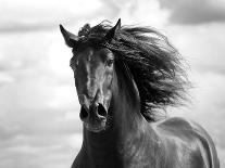 Spirit Horse-Tony Stromberg-Photographic Print