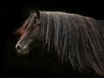 Spirit Horse-Tony Stromberg-Photographic Print