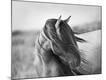 Premium Photographic Print