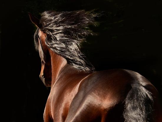 Photographic Print, , large