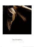 Fierce Grace-Tony Stromberg-Photographic Print