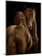 Premium Photographic Print
