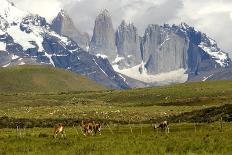 Torres Del Paine-Tony-Photographic Print