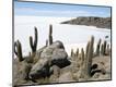 Photographic Print