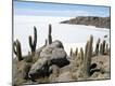 Photographic Print