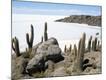 Photographic Print