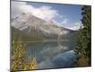 Photographic Print