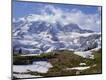 Photographic Print
