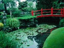 Bridge and Pond of Japanese Style Garden, Kildare, Ireland-Tony Wheeler-Mounted Photographic Print