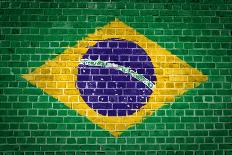 Brick Wall Brazil-Tonygers-Photographic Print