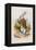 Too Late Said the Rabbit, 1930-John Tenniel-Framed Premier Image Canvas