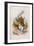 Too Late Said the Rabbit, 1930-John Tenniel-Framed Giclee Print