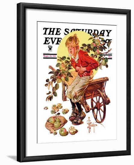 "Too Many Green Apples," Saturday Evening Post Cover, September 16, 1933-Joseph Christian Leyendecker-Framed Giclee Print