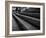 Too Many-Sharon Wish-Framed Photographic Print