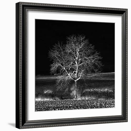 Too Zen-Philippe Sainte-Laudy-Framed Photographic Print