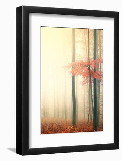 Took His Time-Philippe Sainte-Laudy-Framed Photographic Print