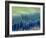 Tooth Enamel Formation, SEM-Steve Gschmeissner-Framed Photographic Print